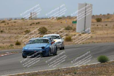 media/May-03-2025-Lucky Dog Racing (Sat) [[206de64b9d]]/Turn 6 (150pm-230pm)/